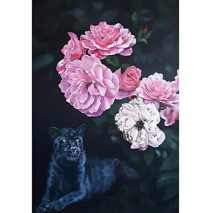 Black Leopard 11