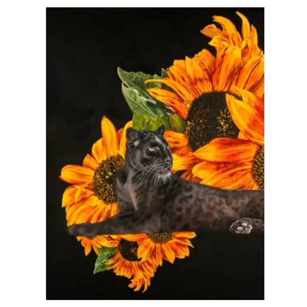Black Leopard 14