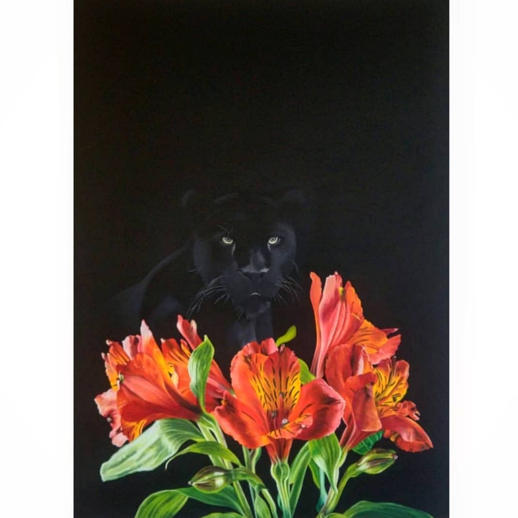 Black Leopard 5