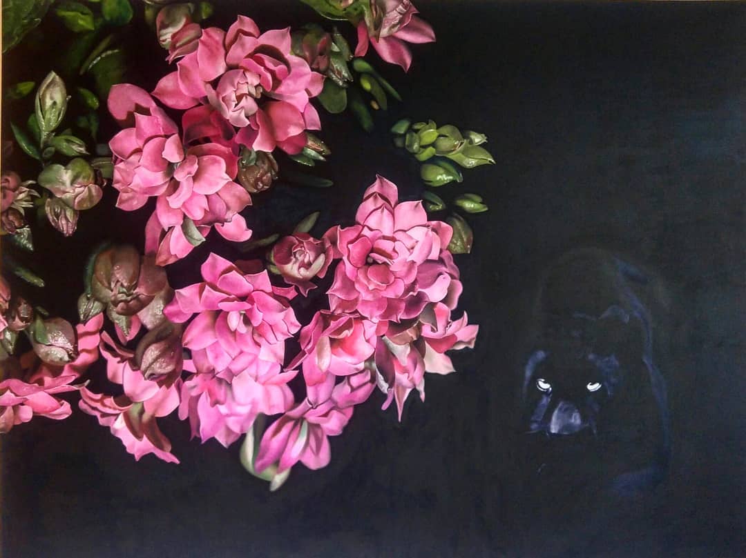 Black Leopard 6