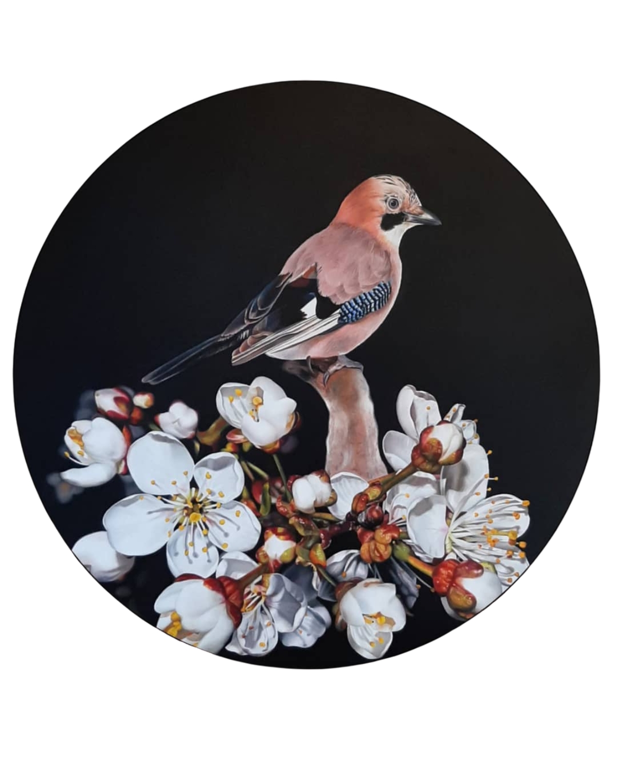 Bird 1