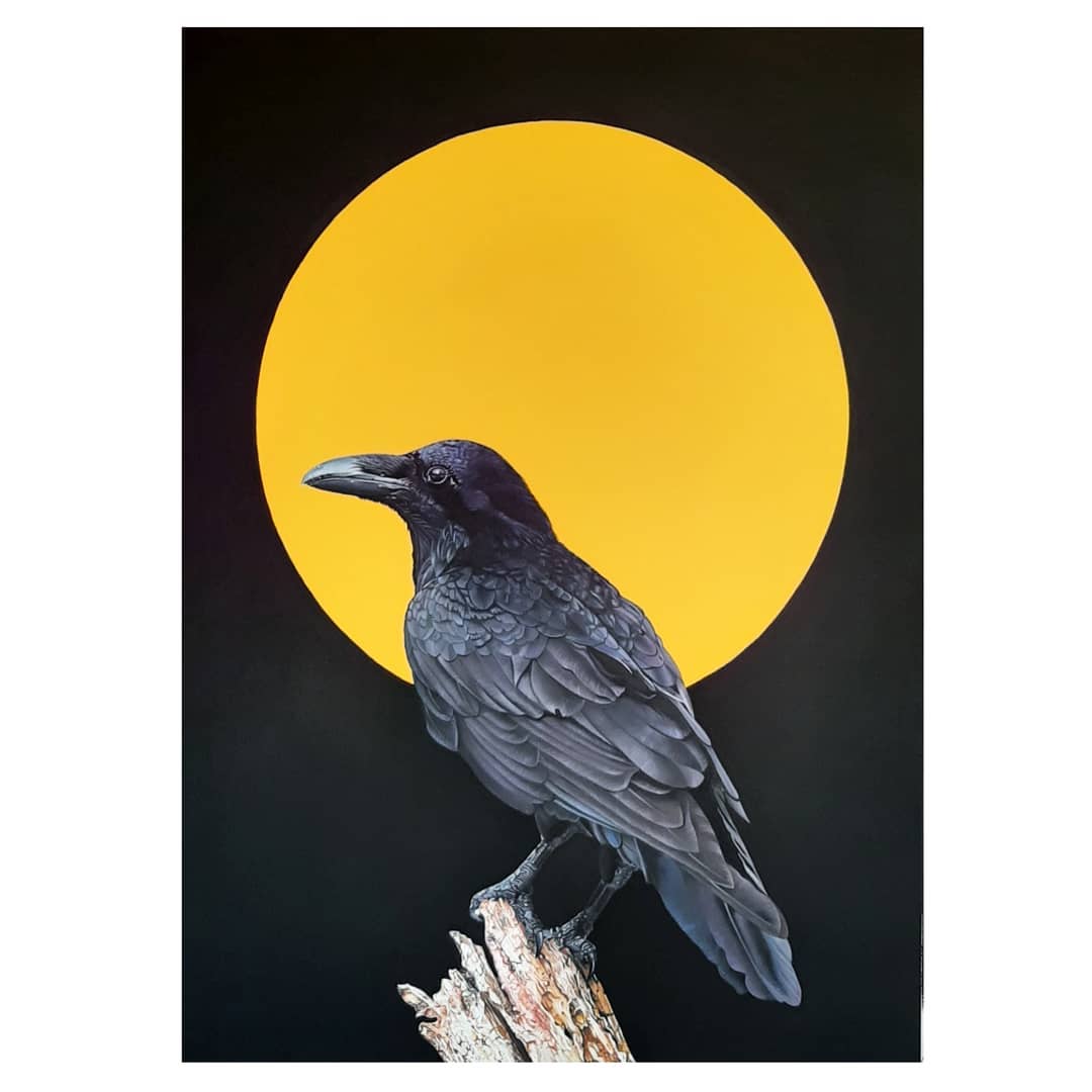 Raven 1