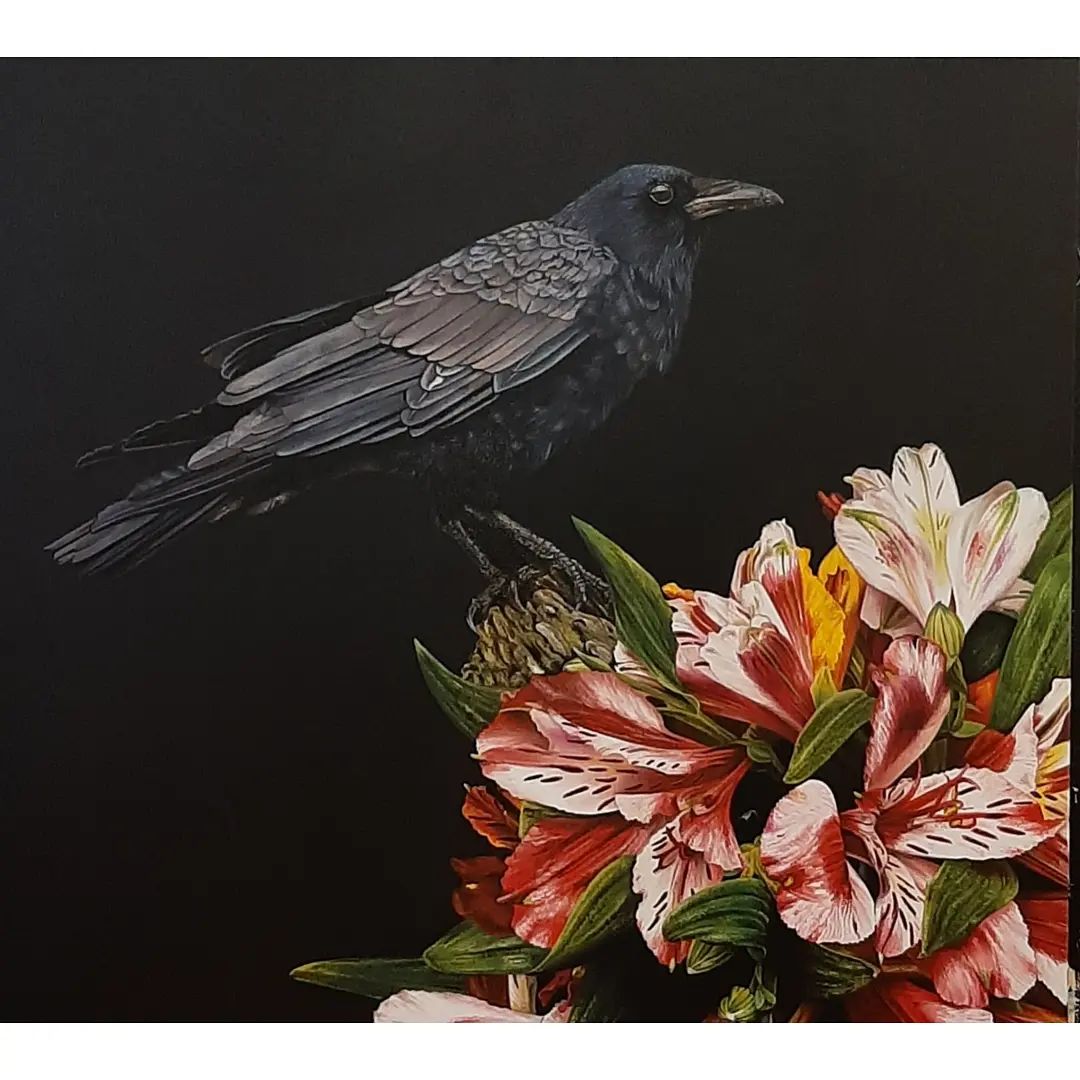 Raven 10