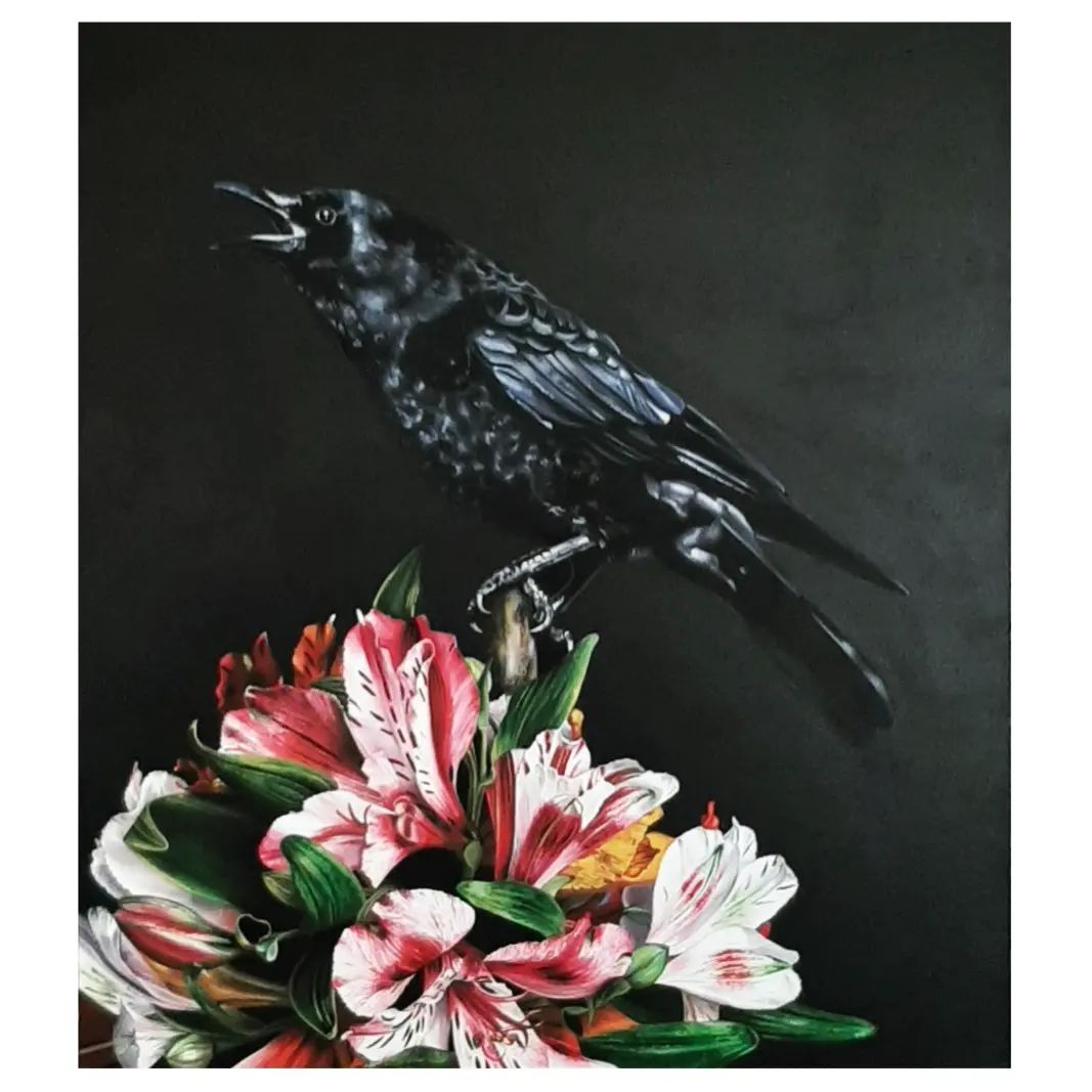 Raven 12