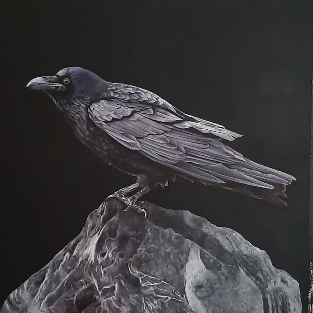 Raven 14
