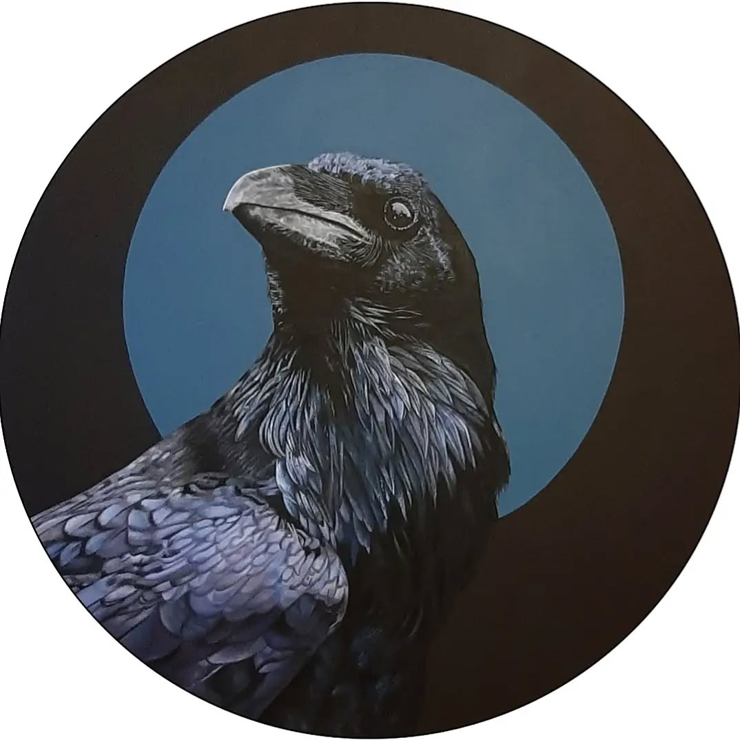 Raven 4