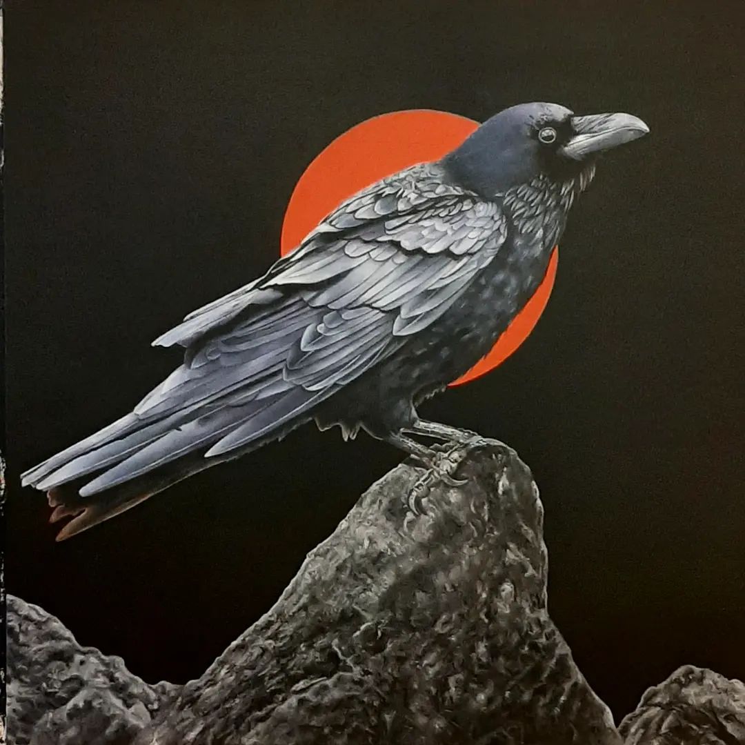 Raven 5