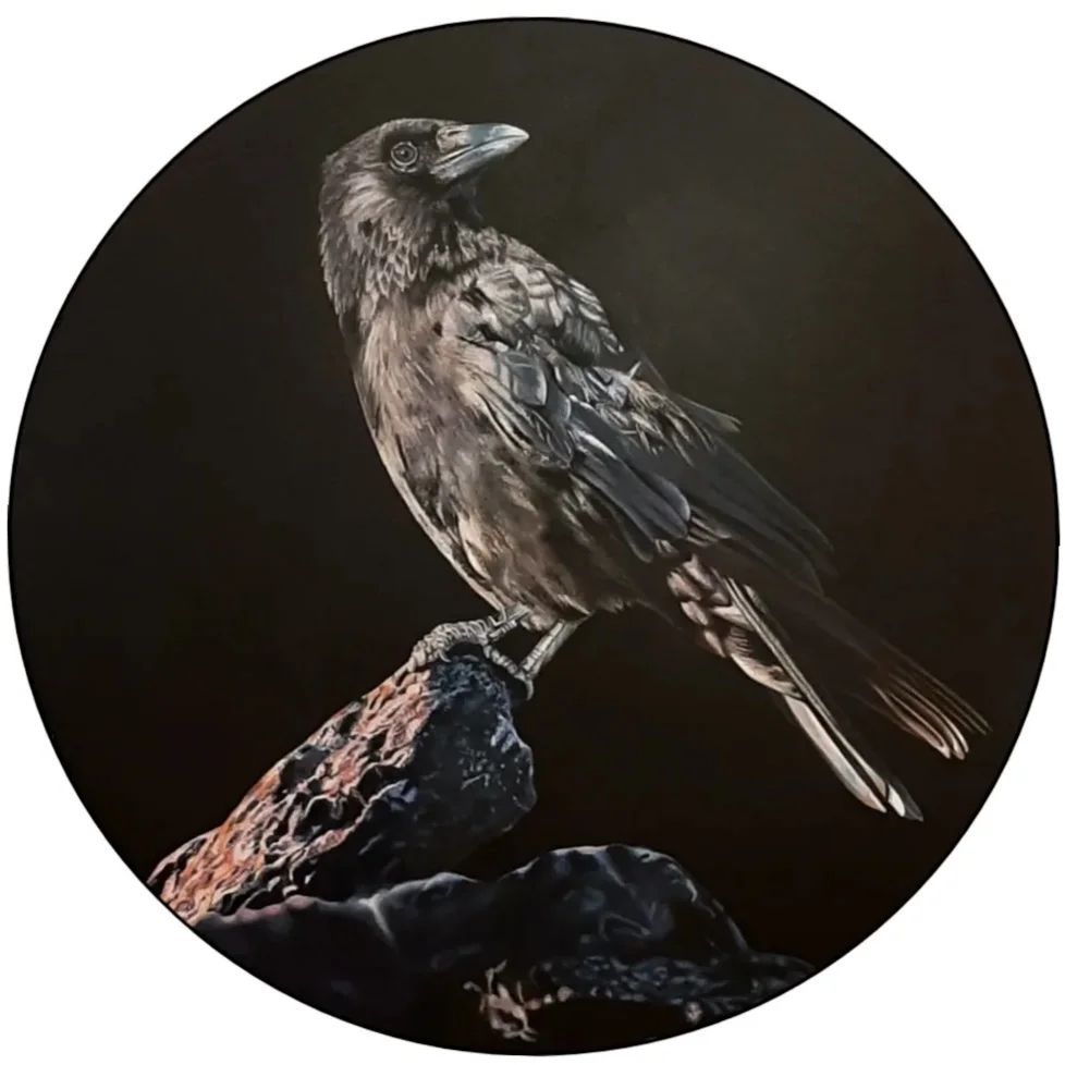 Raven 6