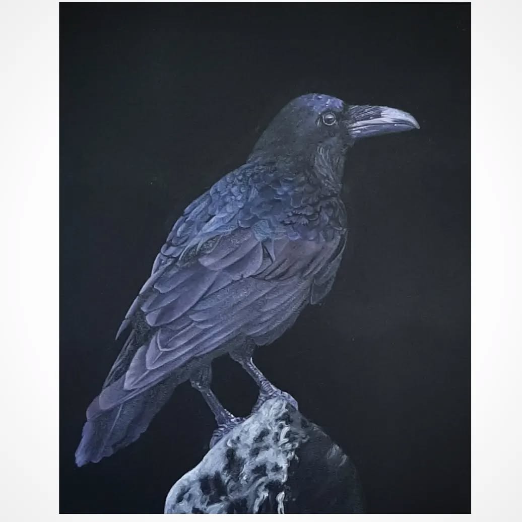 Raven 9